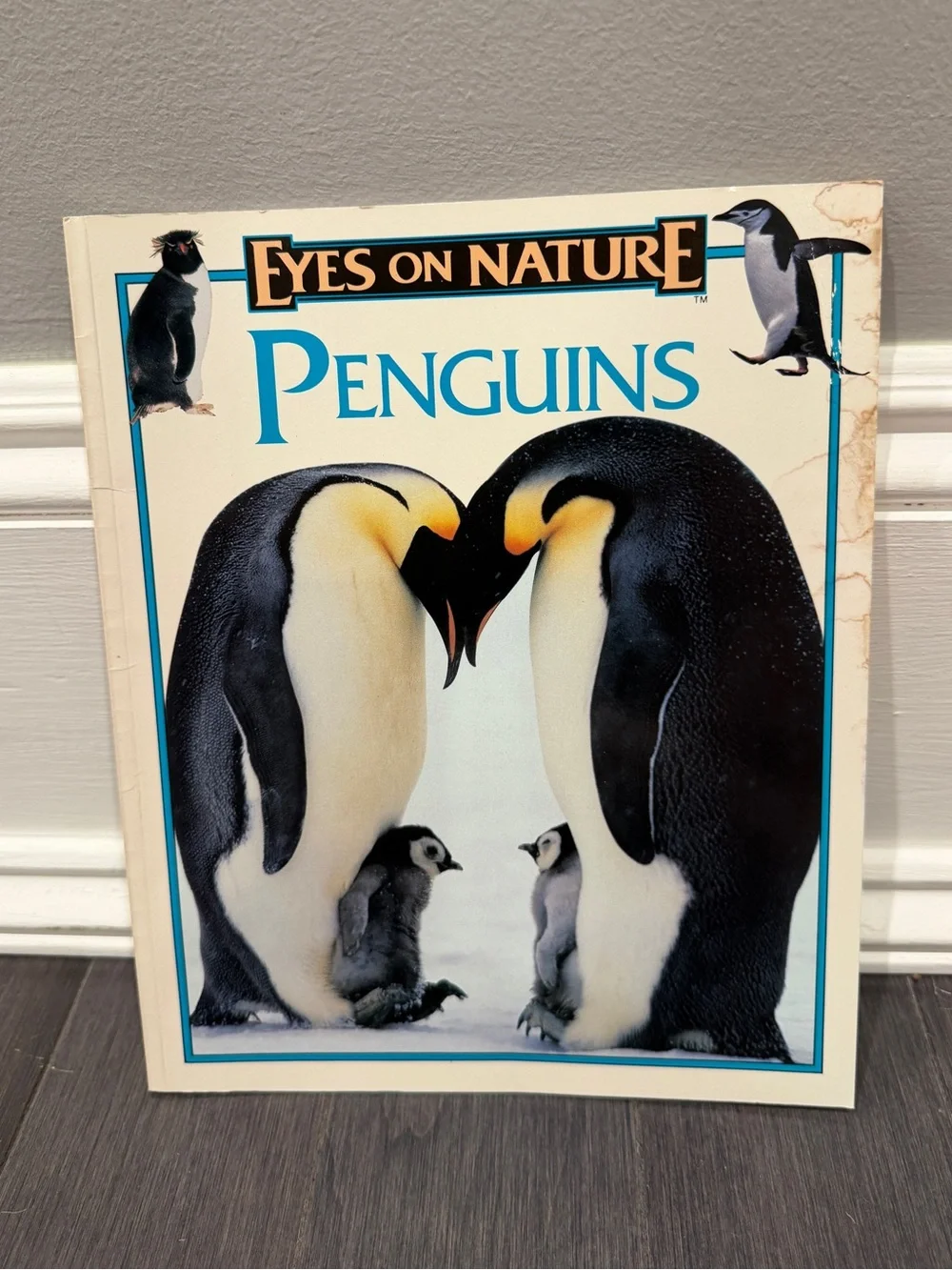 VINTAGE 1997 Eyes on Nature Penguins Paperback Learning Book